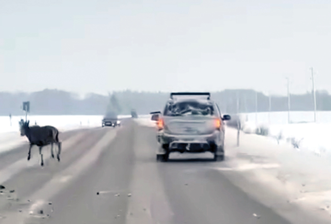 Video ekrānuzņēmums, kas uzņemts pagājušā gada 9. decembrī Saldus novada Jaunlutriņu pagastā uz autoceļa Saldus—Kuldīga